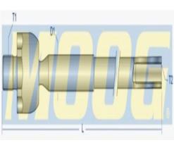 MOOG PE-AX-0862